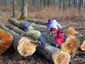 waldkindergarten-ou-école-en-forêt1