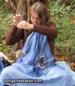 waldorf-ogretmen-egitimi