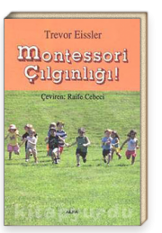 montessori-cilginligi