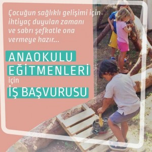 2017-05-24-PHOTO-00000252